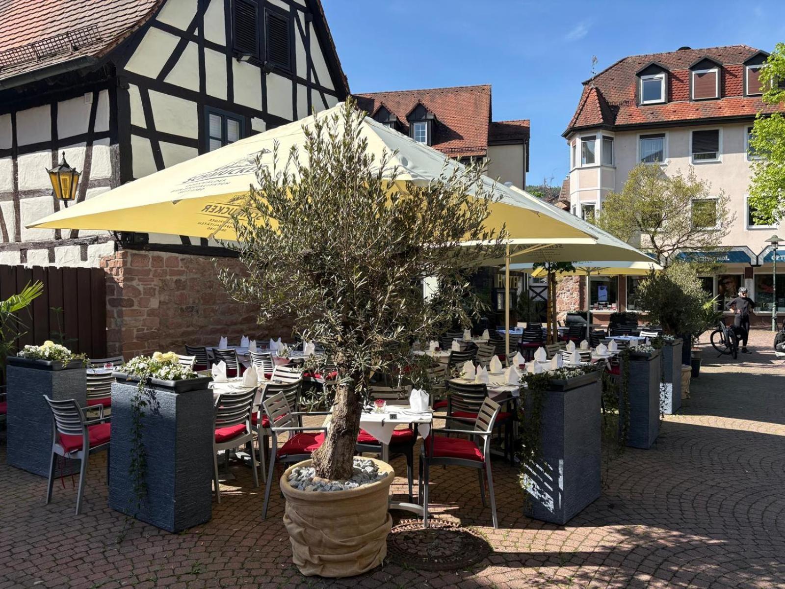 Hotel Restaurant Altes Badhaus Eberbach  Extérieur photo